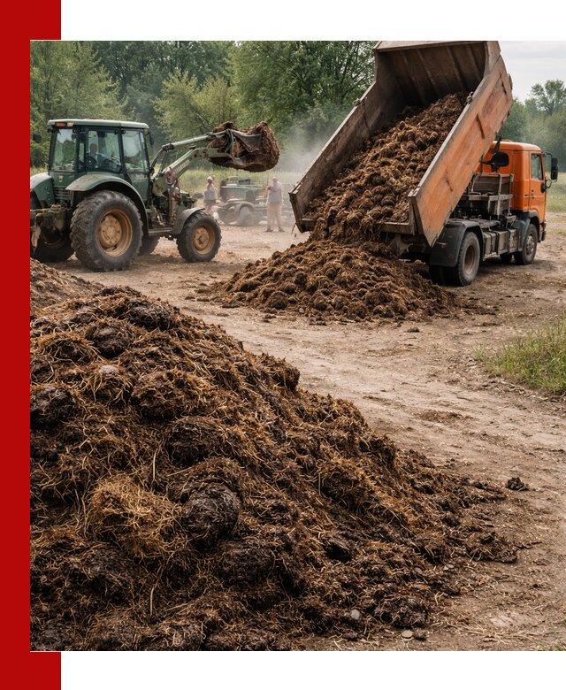 Доставка навоза самосвалами в Белой Калитве для сельхозпотребностей